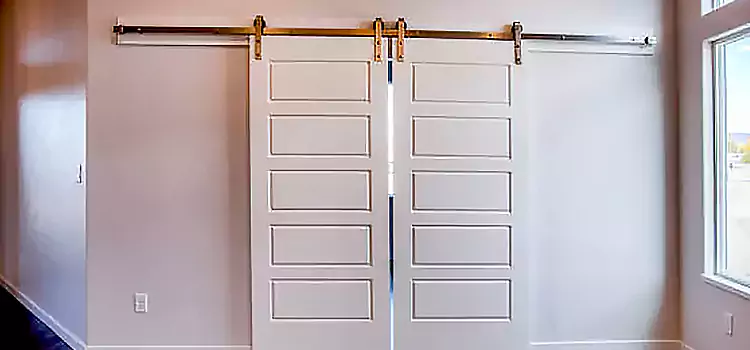 Glass Barn Door with Installation Hardware Kit Biddeford