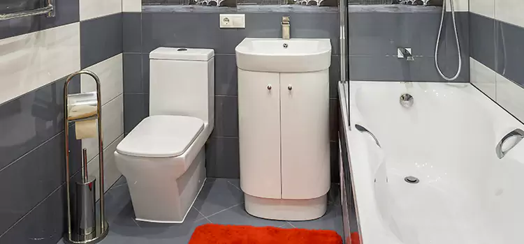 Hansgrohe Shaving Mirror Biddeford